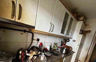 Kapı açılınca karşılaşılan manzara şoke etti