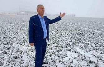 Kar yağışı sarımsak üreticisinin yüzünü güldürecek