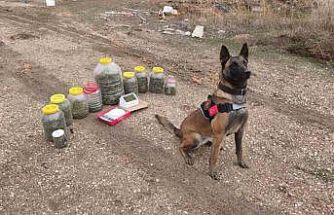 Karaman’da uyuşturucu operasyonu: 1 gözaltı