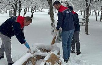 Karaman’da yaban hayvanları ve kuşlar için doğaya yem bırakıldı