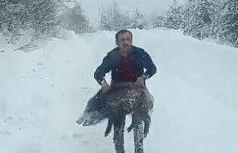 Karlı yolda domuzu elleriyle yakalayan adam konuştu: "Bir anı olsun diye yakaladım, kimseye tavsiye etmem"