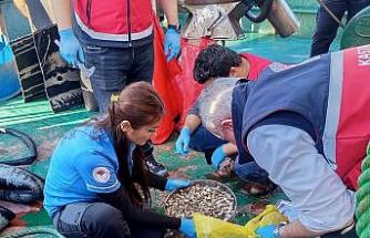 Kastamonu’da beyaz kum midyesi avcılığına yönelik denetimler sürüyor