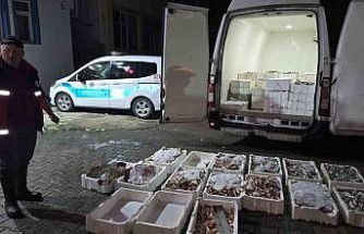 Kastamonu’da yasa dışı avlanan 1,5 ton balığa el konuldu