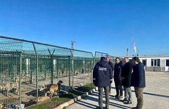 Kaymakam Özderin, Pınarhisar Geçici Hayvan Bakım ve Gözlem Merkezi’nde incelemelerde bulundu