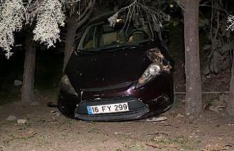 Kazadan sonra panik yaptı, alışveriş merkezinin bahçesine uçtu