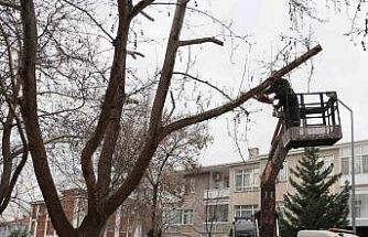 Keçiören Belediyesi, park ve yeşil alanlardaki bakım çalışmalarına devam ediyor