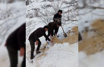 Kemah’ta yaban hayatı unutulmadı