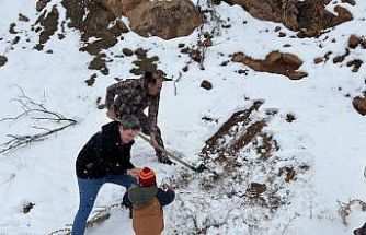 Kemaliye’de yaban hayvanları için yemleme faaliyeti gerçekleştirildi