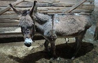 Kırşehirli köylüden vicdanlara dokunan hareket