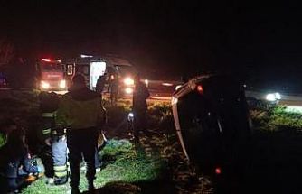 Kontrolden çıkan otomobil devrildi, sürücü yaralandı