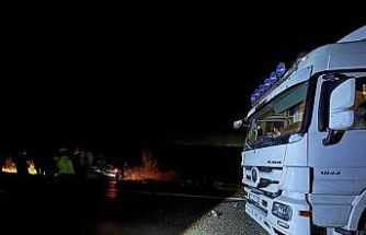 Köpekler nedeniyle otoyolda can pazarı