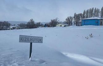 Köyün kâbusu olan kurtlar için araziye yiyecek bırakıldı