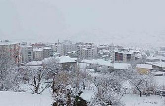 Kulp’ta kar esareti: Köy yolları kapandı, ilçe trafiği kilitlendi