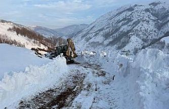 Kulp’ta kış yüzünü sert gösterdi