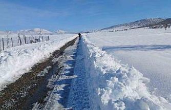 Kulp’ta taşımalı eğitime kar tatili, ilçe merkezinde okullar açık
