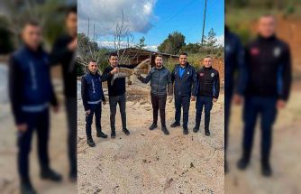 Kumluca’da yaralı atmaca tedavisi sonrası doğaya bırakıldı