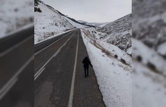 Kuşlar için yol kenarlarına buğday serptiler