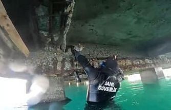 Mahsur kalan kedi için sahil güvenlik seferber oldu