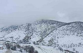 Malatya’da kırsal kesimlerde kar etkili oluyor