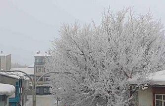 Malazgirt’te dondurucu soğuklar görsel şölene dönüştü