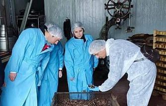 Mama hammadde üretim tesisinde inceleme