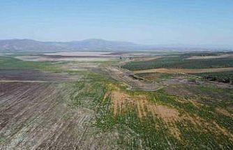 Manisa’da kuruyan Marmara Gölü yeniden canlanıyor