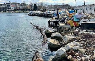 Marmara Denizi’nde feribot trafiği için tehlike oluşturan yüzen ağaç kıyıya çekildi