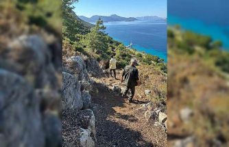Marmaris Orman İşletme Müdürlüğü’nden yürüyüş yollarında temizlik