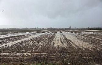 Menteşe’de tarım arazileri için ekipler sahaya indi