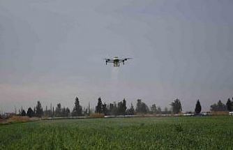 Mersin’de dronla gübreleme ve ilaçlama çiftçinin zayiatını sıfıra indirdi, zamandan tasarruf sağladı