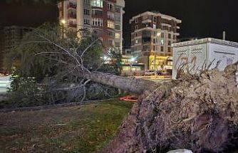 Meteoroloji’den ’kuvvetli rüzgar’ ve ’fırtına’ uyarısı