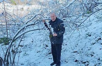 Mevsiminde yağan kar fındık üreticisini sevindirdi