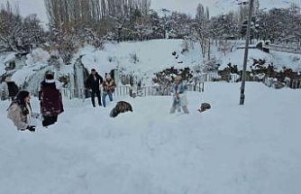 Muradiye Şelalesi’ne ziyaretçi akını