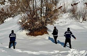 Mutki Belediyesi zorlu kış şartlarında yaban hayatını unutmadı