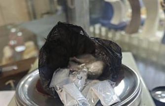 Ordu’da uyuşturucu operasyonu: 2 tutuklama