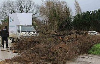 Osmangazi Belediyesi’nden lodosa karşı etkin müdahale