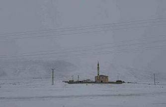 Pamuk Geçidi’nde kar ve sis ulaşımı olumsuz etkiledi