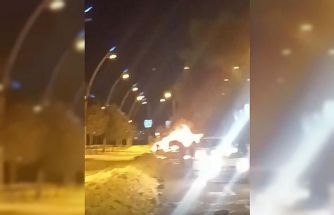 Park halindeki otomobil alev topuna döndü