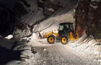 Pervari’de çığ düşen yol ulaşıma açıldı