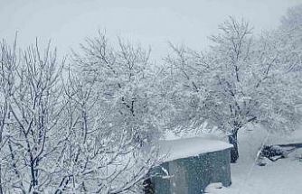 Pütürge’de kar kalınlığı 1 metreye yaklaştı