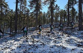 Saimbeyli’de orman geleceğe hazırlanıyor