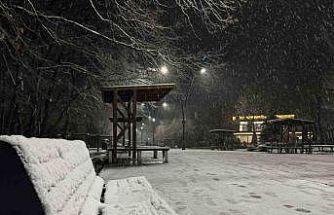 Sakarya’da lapa lapa kar yağışı başladı