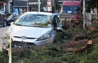 Samsun’da fırtına park halindeki otomobile zarar verdi, çatıları uçurdu