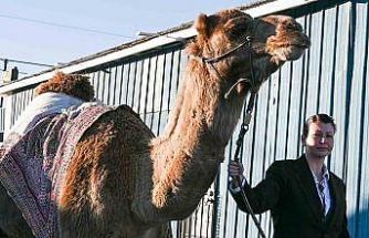 Sanatçı Mertcan Türkoğlu, Hi Jolly’nin Arizona’daki anıt mezarı başında anıldı