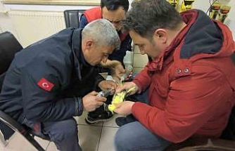 Şanlıurfa’da papağanın ayağına sıkışan halhal itfaiye ekiplerinin operasyonuyla çıkarıldı