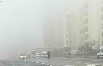 Şanlıurfa’da yoğun sis ve yağmur etkili oluyor
