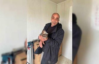 Şantiyede yaralı halde bulduğu ördeğe çocuğu gibi baktı