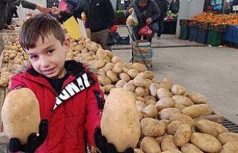 Sarıgöl pazarında dev patatesler ilgi odağı oldu