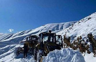 Sason’da 392 kilometrelik yol ağı kardan temizlendi