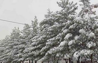 Sason’da yoğun kar yağışı hayatı olumsuz etkiliyor